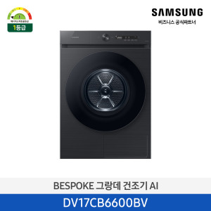 삼성 비스포크 그랑데 AI 건조기 17kg DV17CB6600BV 블랙캐비어